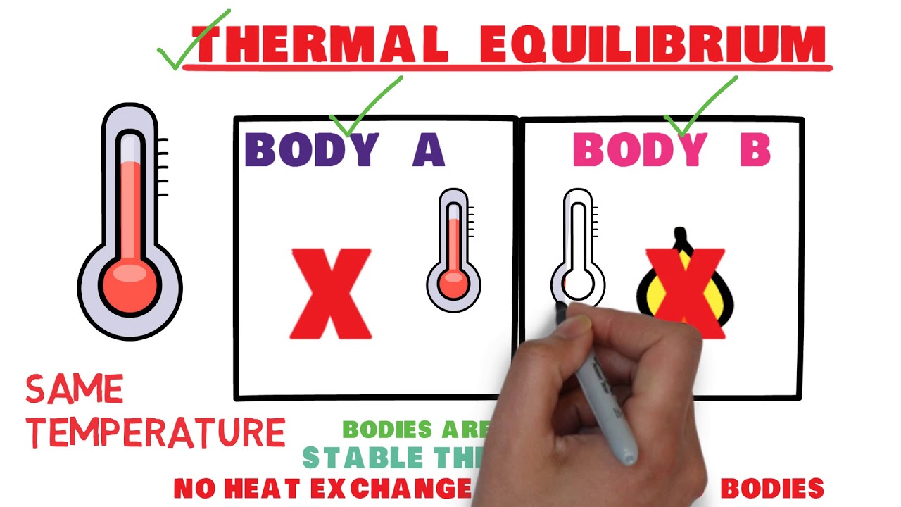 Thermal Equilibrium and Zeroth law of Thermodynamics in Hindi - YouTube