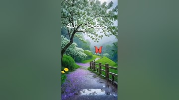 قرآن كريم #اكسبلور #تيك_توك #المصحف #دويتو #الرحمن #duet