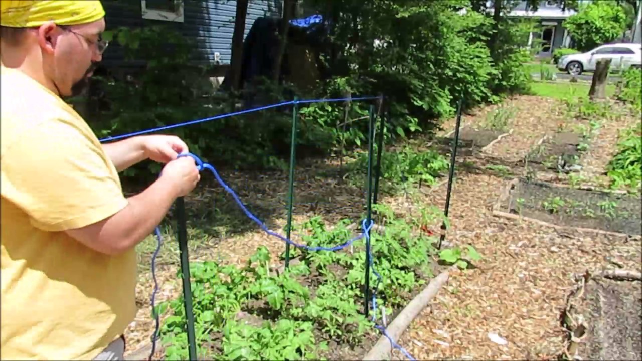 Tomato Trellis -- How I Do