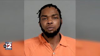 Man accused of starving dogs in Genesee County gets probation