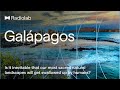 Galápagos | Radiolab Podcast