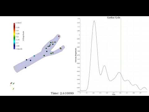 #Paraview #OpenFOAM #BioCFD Hemodynamic analysis of Carotid Artery