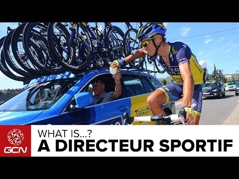 Que Fait Un Directeur Sportif ?