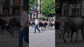 GANADERÍA: La Pasá vuelve a Santander y con ella, el latido del campo en pleno corazón urbano