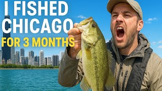 Download Lagu 3 Months of Fishing in Chicago: The Complete Catch Compilation MP3