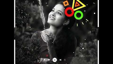 NEW TIMLI STATUS VIDEO.... REMIX SONGS ADIVASI..... STATUS CREATOR.... NEW TIMLI 2020...