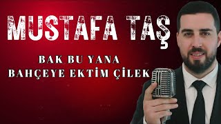 Video thumbnail of "Mustafa Taş - Bak Bu Yana - Bahçeye Ektim Çilek"