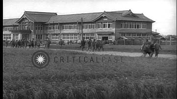 Students leave the school building and pass a corner signpost covered with Japane...HD Stock Footage