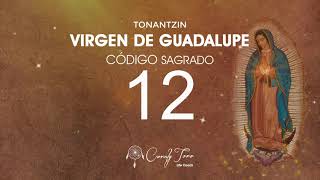 Virgen de Guadalupe con el Código Sagrado 12 Virgen de Guadalupe con el Código Sagrado 12