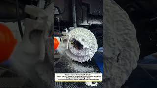 Foam Cleaning Brake Components – Auto Maintenance Guide‎