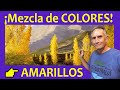 🎨 LOS COLORES AMARILLOS sus Mezclas y cómo usarlos😲Colores Complementarios y Armónicos del AMARILLO!