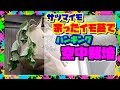 【サツマイモ栽培】裏ワザ？ 芋蔓の先は再利用  畑不要で観葉植物にも　HangingBagForPlantRaizing[SweetPotato]