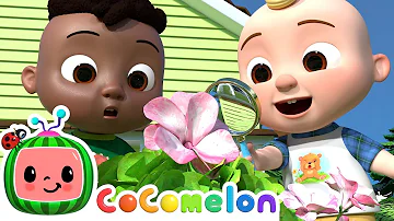 I Spy (Painting Song) | CoComelon - It's Cody Time | CoComelon Songs for Kids & Nursery Rhymes