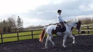 parker flatwork