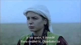 koma zelal / li qamışlo  = türkçe alt yazılı = Resimi