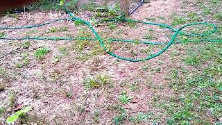 do you even grow bro michiganga mizfitz update on 20 /20 outdoor site