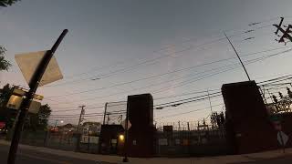 Golden Hour Sunrise Walk * The Battery, Penn Treaty Park + Beach St in Mix * #walking #sunrise #cat