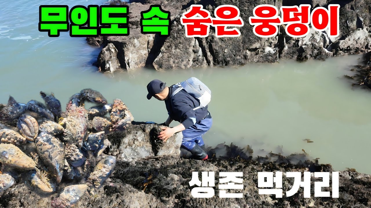 숨겨진 무인도 바위섬에 갔더니 부자되어 나왔습니다