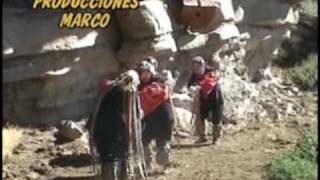 DVD DANZA: \