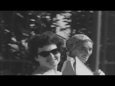 Video: Şəhər İttifaqı