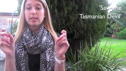 Video Interview Assignment- PSY3HAR