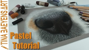 DOG NOSE TUTORIAL with SOFT PASTELS | Step by step | TinaBaeyensArt