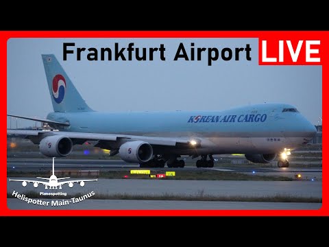 ★FRA★ LIVE 🔴 Late night Planespotting ✈️