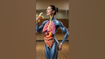 The Amazing Journey of a Banana Inside Your Body | 3D Human Digestive System Animation
