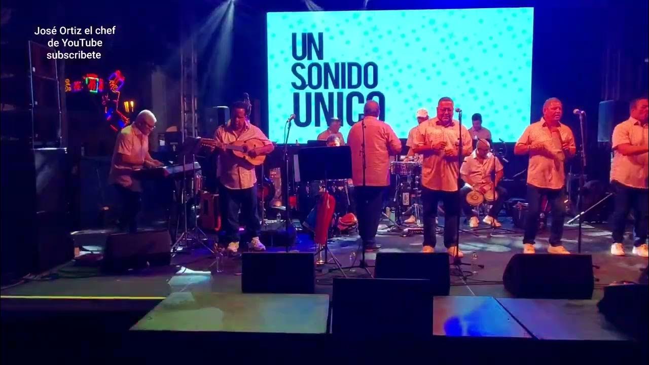 Fiestas de la calle San Sebastian 2024. Luis Gonzalez el Tzunami de la