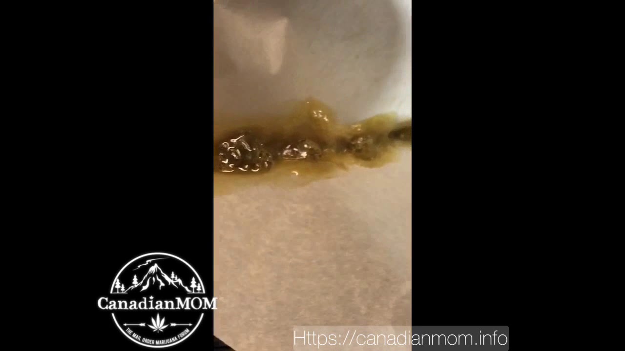 Lindsay OG - cheapweedca - April 10/18