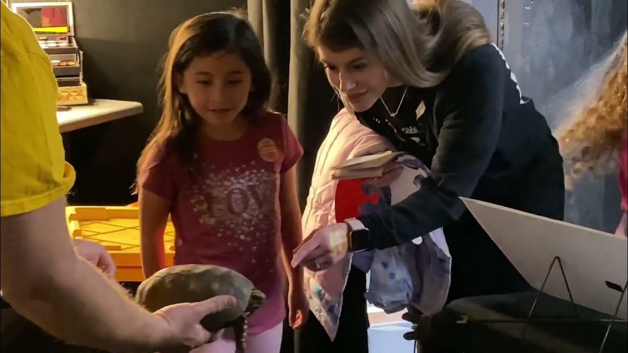 Southern Utah reptile expert shares enthusiasm, education YouTube