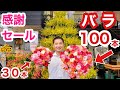 『驚きの‼️バラ100本と30本』〜100％の愛〜