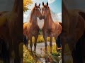 Психология. Цель в жизни часть1.