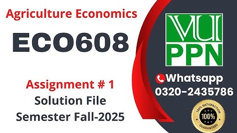 ECO608 Assignment 1 Solution Fall 2025 #eco608