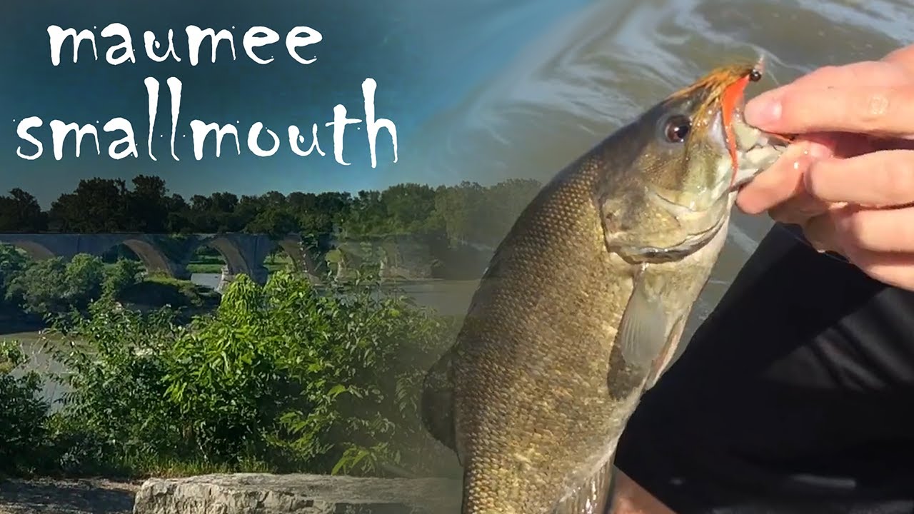 Fly Fishing for Smallmouth Bass Maumee River (feat. Pond Bassmaster