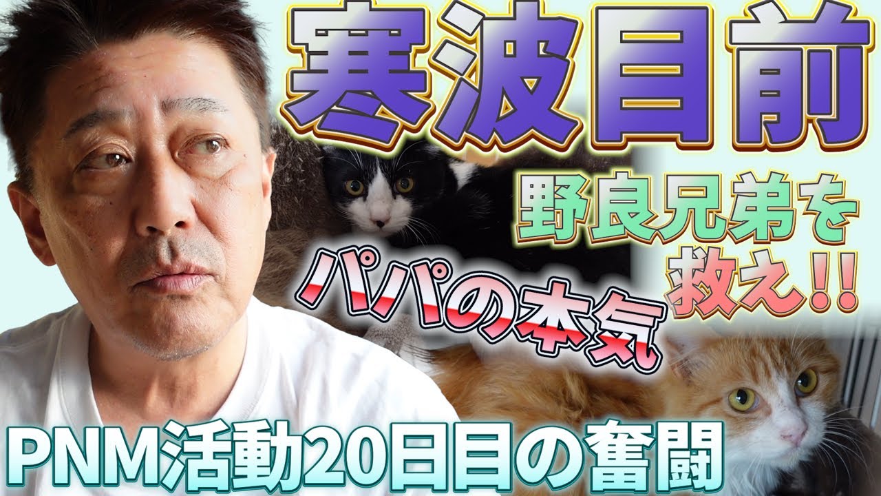 坂上家流PNM活動:寒波前の緊急捕獲作戦