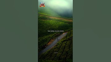 FALAK TAK CHAL SATH MERE 😩🥀🖤 ll lyrics status video ll 4k full screen ll #shorts  #viral #trending