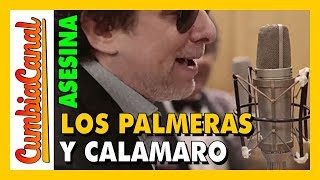 🔴 LOS PALMERAS Y CALAMARO | 🌴🌴🌴 + 🐟  | ASESINA 🔵 Cumbia Canal 2019