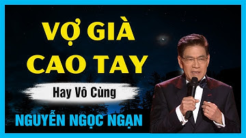 Truyện Hay Nguyễn Ngọc Ngạn - VỢ GIÀ CAO TAY - Đọc Truyện Đêm Khuya Hay