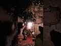 Boom! Roasted! | #dawnofthedinner on #Twitch