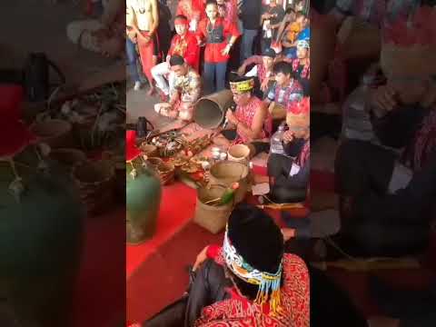 Gawai Dayak Sintang #shorts