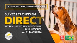 Ring Chiens et Chats 21/02/2026 @salonagriculture