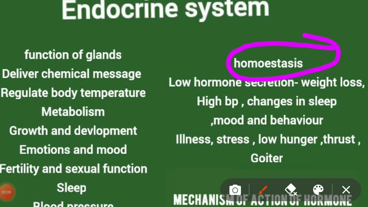 ll endocrine system- function ,hormones ,types of gland , function of glands, basic concept in hindi