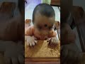 #playing babyshort