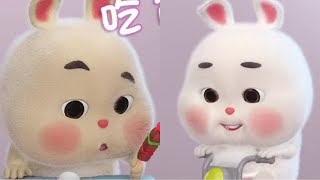 Thỏ Mập siêu dễ thương || Super cute fat rabbit | Part 73