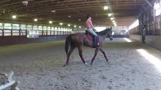 Haley & Noah - 07/29/20 - Lendon Gray D4K Clinic Part 2
