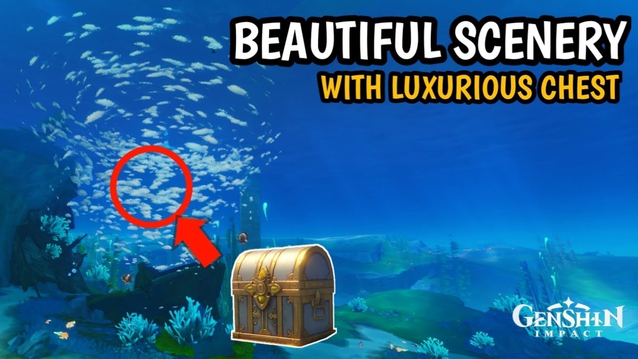 Hidden Luxurious Chest in Tornado Fish | Echoing Conch with 3 Seelies Puzzle
