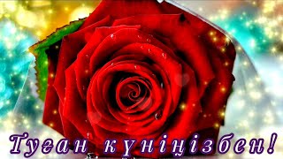 Әдемі құттықтау. Қызыл раушан гүлдер🌹