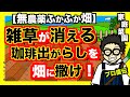 【雑草対策】珈琲の出涸らしを使って雑草がない畑を作るコツ!さらに害虫も減る+ふかふかの土になる!【アニメでわかる家庭菜園・ガーデニング解説】