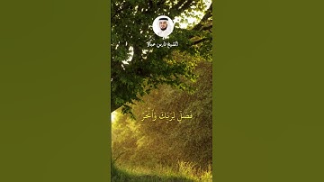 سورة الكوثر من الآية 1 2 3 بصوت الشيخ فارس عباد